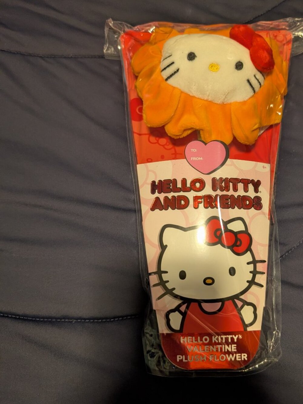 2025 Sanrio Hello Kitty & Friends Plush Orange Ombre Flower Bendable Stem NEW